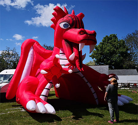 inflatable dragon promo hire