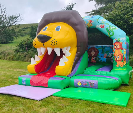 Lion 3D Front Slide Combo Castle Hire Lion 3D Combo Castle Hire
