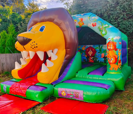 Lion Combo Castle at Event
