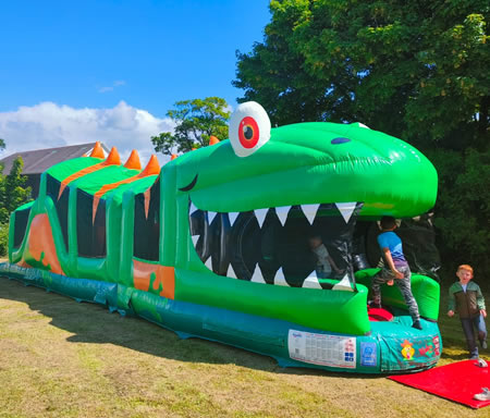 Lizard obstacle setup outdoor