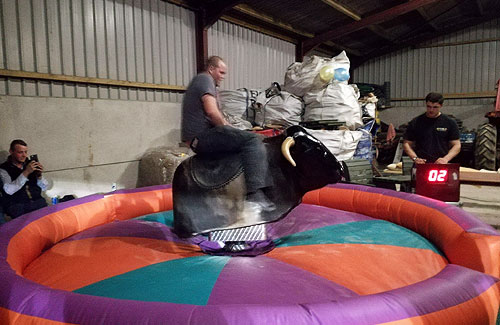 rodeo bull hire westwales