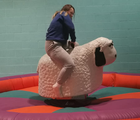 Bucking Rodeo Sheep Hire